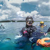 Picture taken during the dive