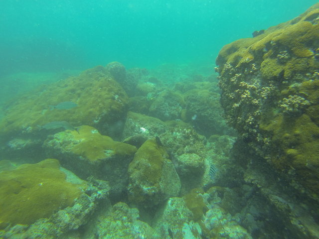 Elite Dive Center - Dive Center