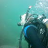 Picture taken during the dive