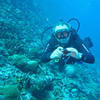 Picture taken during the dive