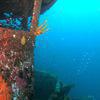 Picture taken during the dive