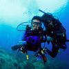Picture taken during the dive