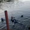 Picture taken during the dive
