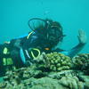 Picture taken during the dive