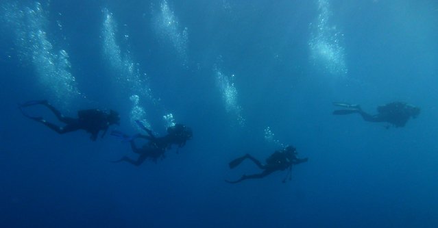 Ucpa-83 Le Levant - Dive Center in France