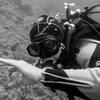 Picture taken during the dive