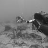 Picture taken during the dive