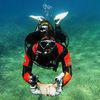 Picture taken during the dive