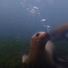 Picture taken during the dive