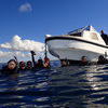 Picture taken during the dive