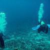 Picture taken during the dive