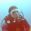 Picture taken during the dive