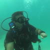 Picture taken during the dive