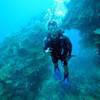 Picture taken during the dive