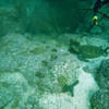 Picture taken during the dive