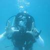 Picture taken during the dive