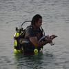 Picture taken during the dive