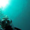 Picture taken during the dive