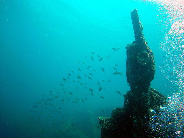 DIVEIndia Scuba & Resorts - Dive Center