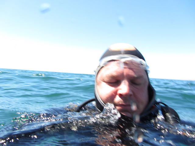 DIVE TIME - Dive Center in Portugal