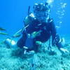 Picture taken during the dive