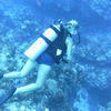 Picture taken during the dive