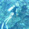 Picture taken during the dive