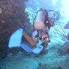 Picture taken during the dive