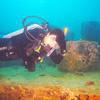Picture taken during the dive