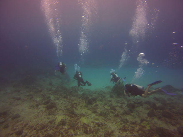Aqua Zone Scuba Diving & Water Sports - Dive Center in United States