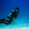 Picture taken during the dive