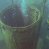 Picture taken during the dive