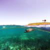 Picture taken during the dive