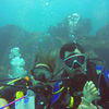 Picture taken during the dive