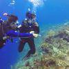 Picture taken during the dive