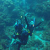 Picture taken during the dive