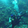 Picture taken during the dive