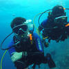 Picture taken during the dive