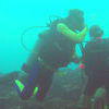Picture taken during the dive