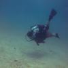 Picture taken during the dive
