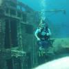 Picture taken during the dive