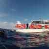 Picture taken during the dive