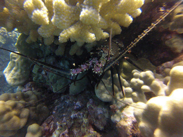 B & B Scuba - Dive Center in United States