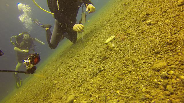 Atmosphere Resorts - Dive Center in Philippines