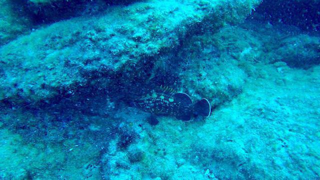 Diving in Turkey, Kas - By Serkan Akdag