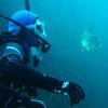 Picture taken during the dive