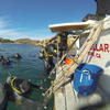 Picture taken during the dive