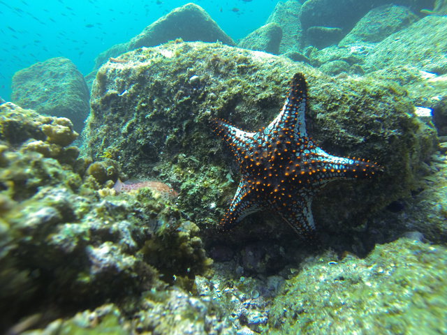 Fun Baja - Dive Center in Mexico