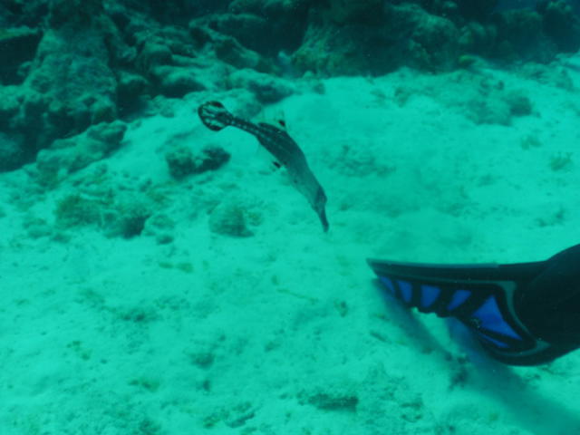 New England Dive - Dive Center in United States