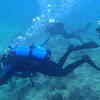 Picture taken during the dive